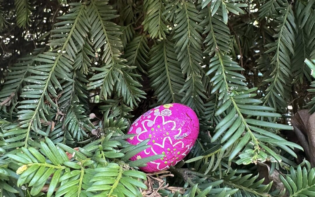 [RETOUR SUR] la chasse aux œufs